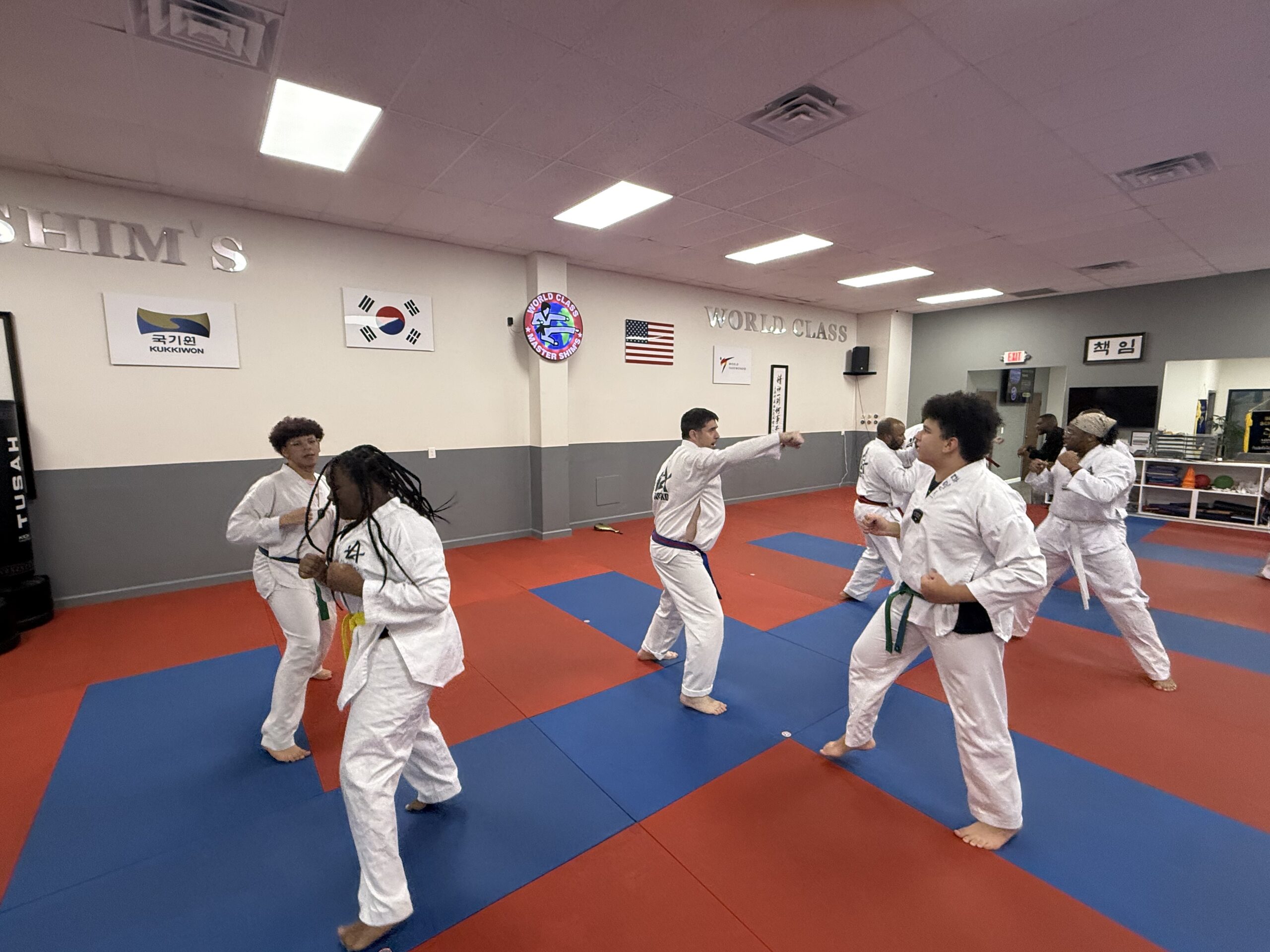 Adult Tae Kwon Do class training together at Master Shim's World Class Tae Kwon Do