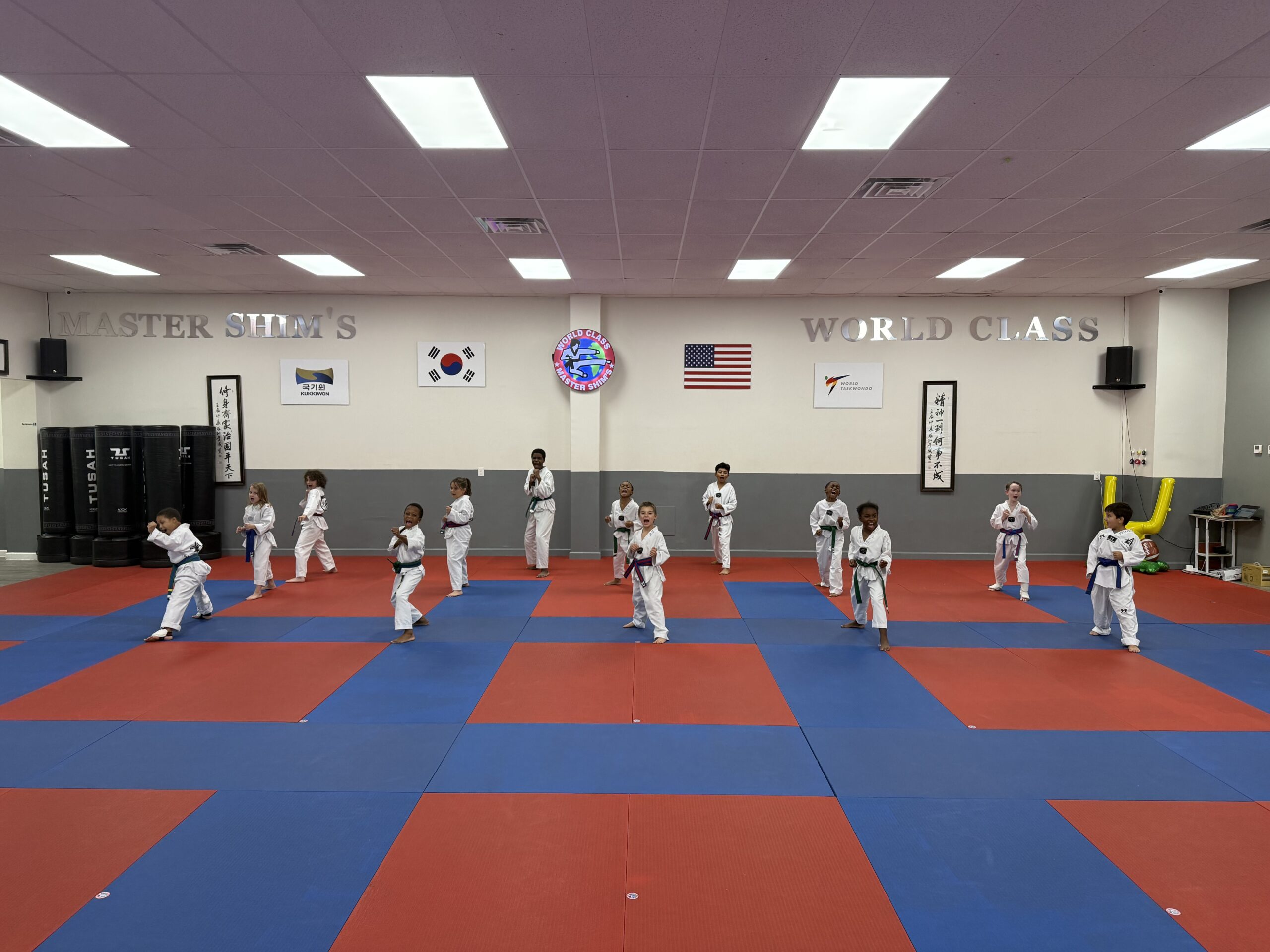 Kids martial arts students training in Tae Kwon Do at Master Shim's World Class Tae Kwon Do